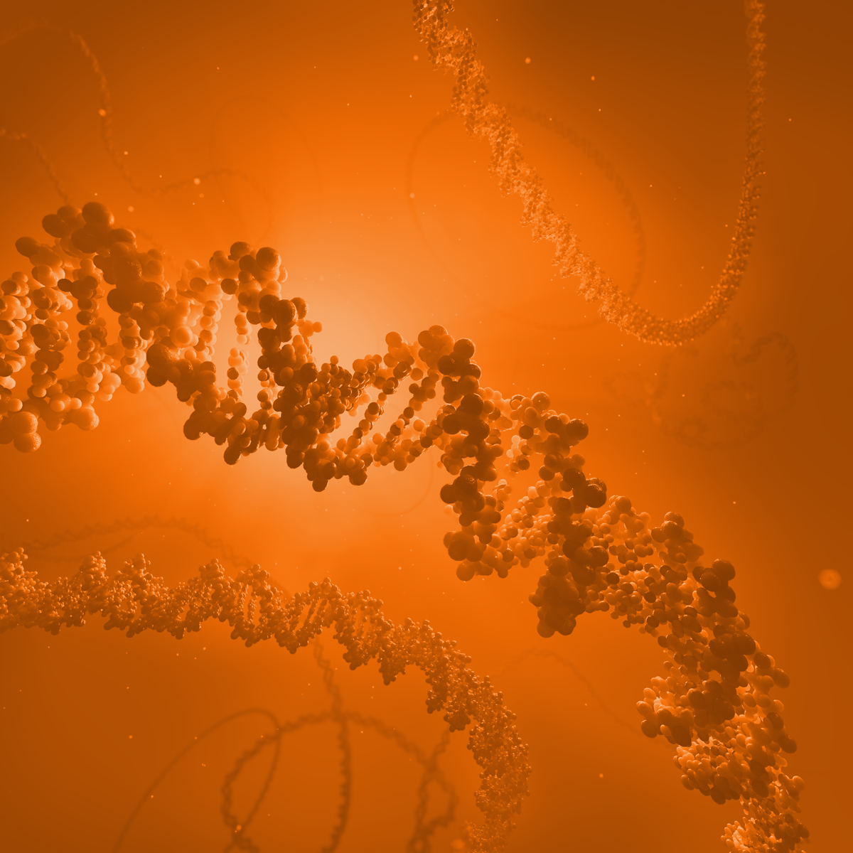 ALD_pDNA_Final_c03-ALT-Orange